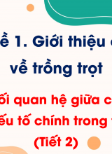 CN Trồng trọt - Bài 3 Mối quan hệ giữa cây trồng và các yếu tố chính trong trồng trọt (Tiết 2)